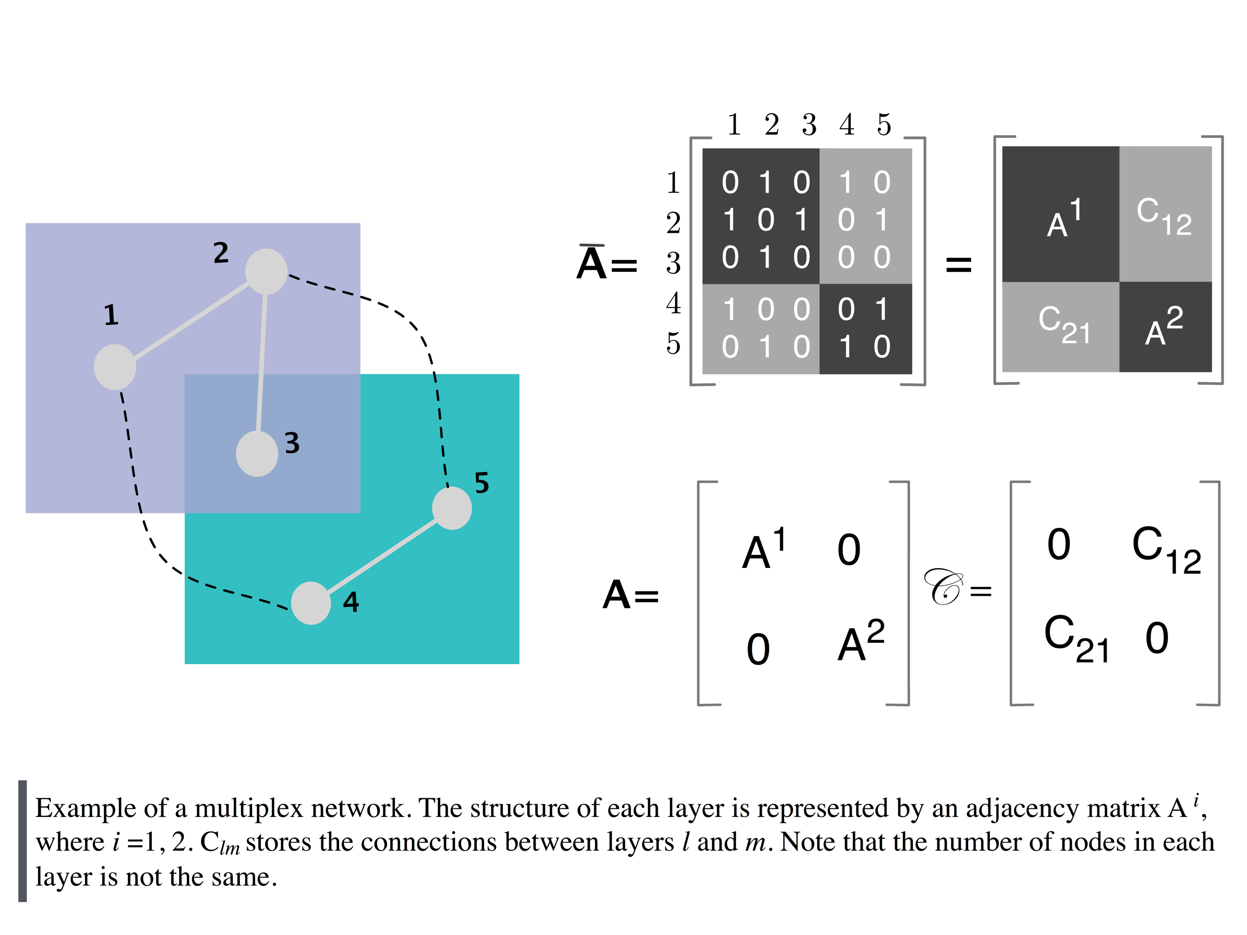 Multiplex networks